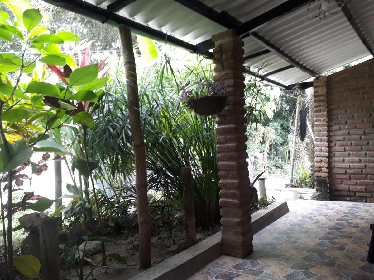 Ferienwohnung Gui=Neo Minca Exterior foto